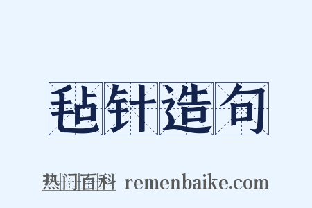 毡针造句是什么意思的图片